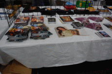 ValleyCon 37 - 2011